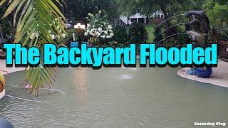 The Backyard Flooded || Home Depot Clearance Plants || Saturday Vlog