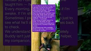 The Story of Buddy the Helper Dog  Check out this story: Part #46