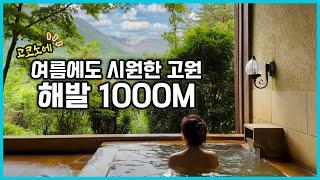 유후인 료칸 추천 쿠오리테이 久織亭,  유후인역에서 무료 송영 가능! 시원한 해발 1000M 고원에서 즐기는 수질 좋은 온천과 퓨전 이탈리안 요리