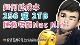 不要选高配！教你低成本用上2TB的M4 Mac Mini