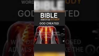 Why God Created Woman from Man Rib | Creation of Woman | Bible Study