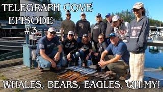 Telegraph Cove Episode #3, Bears, Whales, Eagle, oh my! #orca, #fishing, #telegraphcove, #BaldEagle,