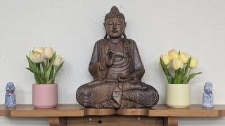 Monk Chat with Empty Cloud Monastics