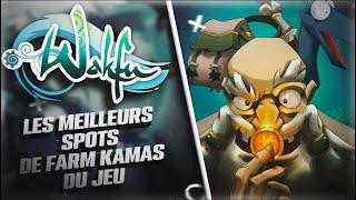 Les 30 plus grosses astuces KAMAS du jeu