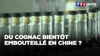 Du Cognac français bientôt embouteillé en Chine ?｜TF1 INFO