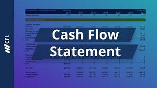 Cash Flow Statement