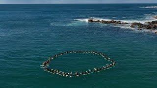 Surfers at Tuncurry beach remember Mark Sanguinetti