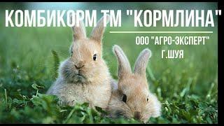 видеообзор комбикорма для кроликов ТМ Кормлина