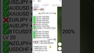 برایند معاملات ما در فارکس و کریپتو| سیگنال رایگان
