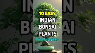 Best bonsai plants in india / #shortvideo #bonsai #gardening