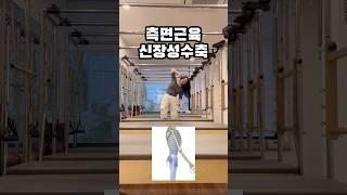 초보자를 위한 측면 근육 신장성 수축 기초운동🩷 (옆구리 라인 정리하기) #필라테스 #필라테스홈트 #다이어트