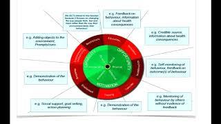 Behavior Change Techniques