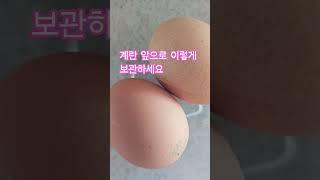 계란이렇게 보관하세요
