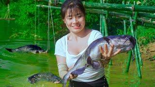 How this girl catches hundreds of fish in the largest lake in southeast asia