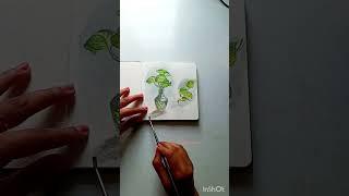 Obsessed with my pothos ️ #painting #artvideo #art #watercolorpainting