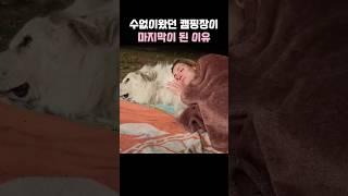 수없이왔던 캠핑장이 마지막이 된 이유