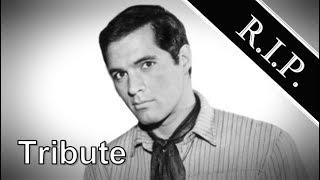 John Gavin ● A Simple Tribute