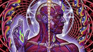 TOOL - Lateralus Backing track