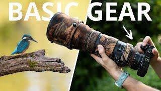 Photographing Kingfishers | Beginners Gear Guide | Wildlife Photography