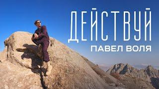 Павел Воля - Действуй (премьера трека 2024)