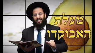 אבוקדו - מעלות סגולות וטיפים | 100% בריאות | מדור בריאות | הרב רביד נגר