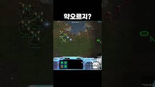 스타 팀플 약 오르지?#shorts #스타크래프트 #스타팀플 #헌터 #프로토스 #starcraft #리마스터 #shortsindia #스타크래프트리마스터 #헌터스타팀플 #헌터팀플