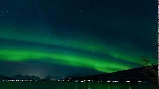 FREE HD VIDEO Time Lapse Video Of Aurora Borealis [no copyright]