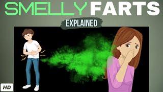 Why Do My Fart Smell So Bad:  Smelly Farts Explained