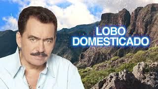 Joan Sebastian – Lobo Domesticado (Letra Oficial)