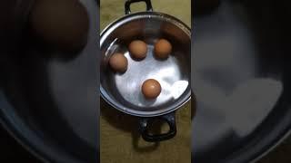 Как определить тухлые яйца.
