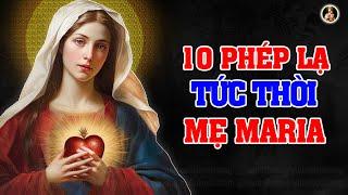 10 PHÉP LẠ MẸ MARIA | Người Công Giáo Nhất Định Phải Nghe 1 Lần Trong Đời.