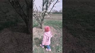 Наши помощники.