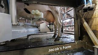 fullwood JOZ - Jacob's Farm