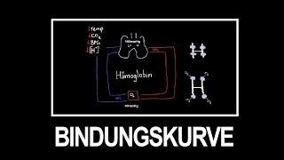 Sauerstoffbindungskurve einfach erklärt: Grundlagen für angehende Mediziner