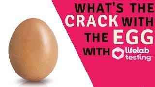 The Egg Craze - Lifelab Testing