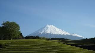 View Point of Mt.Fuji & Tea plantation Obuchi Sasaba