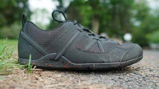 XERO PRIO / the best affordable barefoot shoes for cross-training