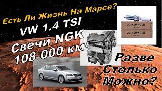 Skoda: Свечи NGK 108000 км. Разве Так Можно? (2024)