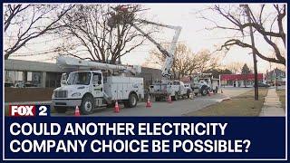 Would it be possible to have another electricity company choice in Metro Detroit?