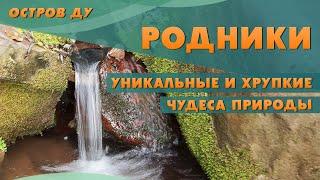 Родники в Беларуси: уникальность явления и угроза для них. Качество воды в родниках | Остров Ду