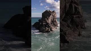 @nature ke Diwane #viral #ytshorts #trending #shortvideo #funny #nature #foryou #youtubeshorts#short