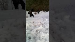 La valea mortii