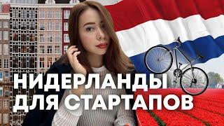 Как получить стартап визу в Нидерландах.