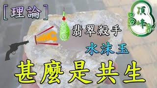 [理論]甚麼是共生！？ 翡翠殺手 水沫玉  | 頂峰翡翠