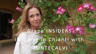 Grape INSIDERS: Montecalvi, Chianti Classico, Tuscany Wine Tours