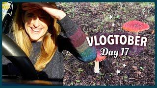  Sunny working day, toadstools, pub quiz ️ Vlogtober Day 17