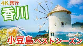 【大人の国内旅行】 香川県の旅！ フェリーで四国横断！ 情熱大陸のうどんと夏の小豆島は最高でした！ おすすめ観光•グルメ　四国一周旅①