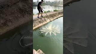 ⭕Outdoor fishing | Fishing net. Catch Fish #trap #breed It can be folded to lift the net.