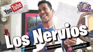 Los Nervios | HeyAnthony |