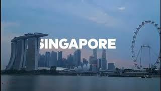 Amigoz Shipping Agency Company in Singapore